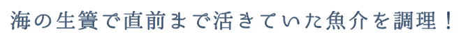 海の生簀で直前まで活きていた魚介を調理！