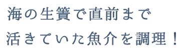 海の生簀で直前まで活きていた魚介を調理！